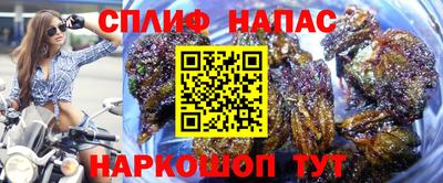 твердый Гатчина