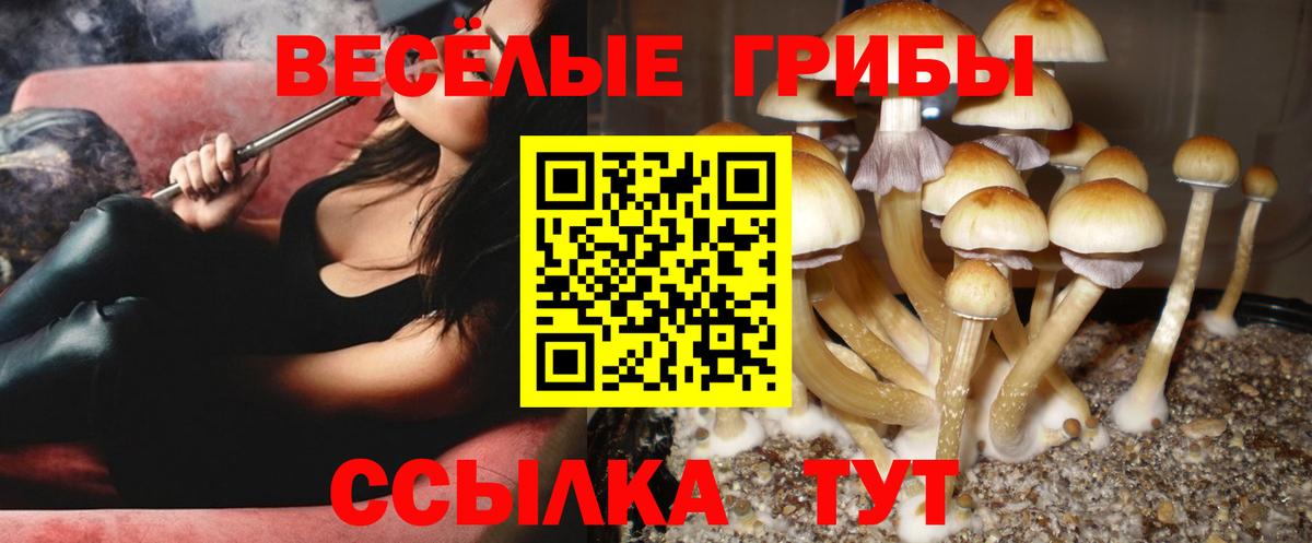 Псилоцибиновые грибы Magic Shrooms Елец